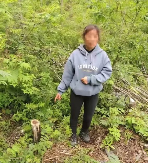 米晾衣杆“悲剧了”系二级保护植物凯发k8入口吉林一女子砍伐一根4(图3)