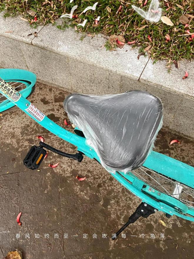 ！几块钱的小东西竟能让生活开挂被老妈买的“便宜货”惊艳到了(图3)